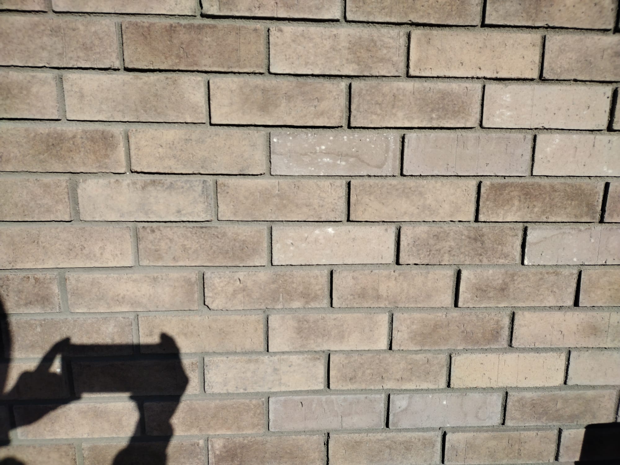 Thin brick facade with clean lines